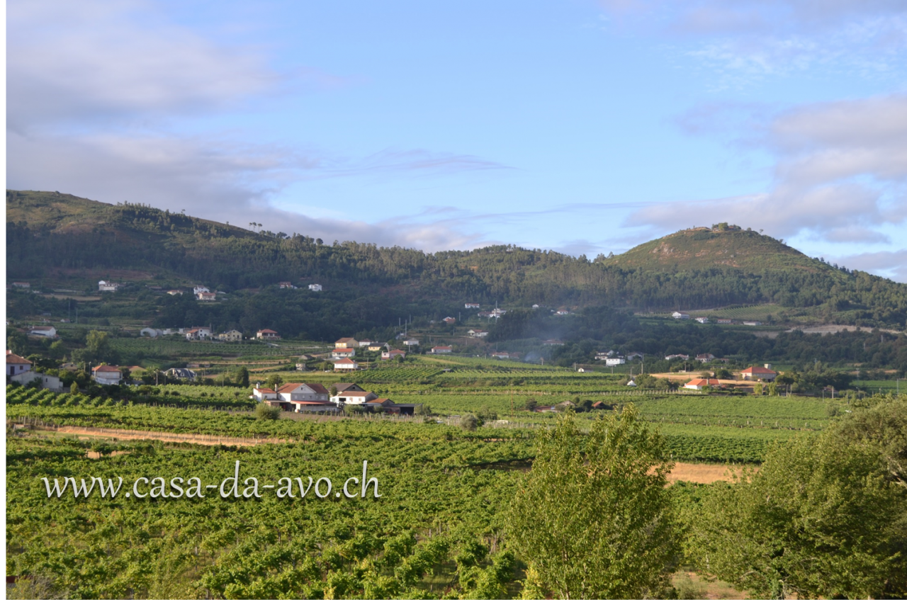 Vue depuis la propriété sur la vallée